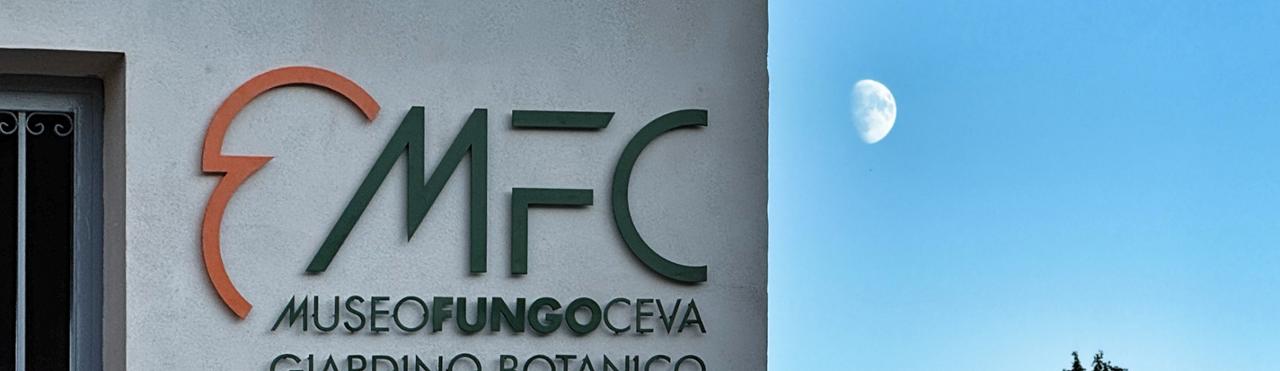 MUSEO DEL FUNGO - CEVA